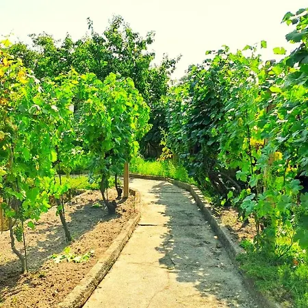 Na Vinohradech Hlohovec