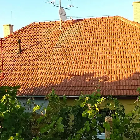 Na Vinohradech *