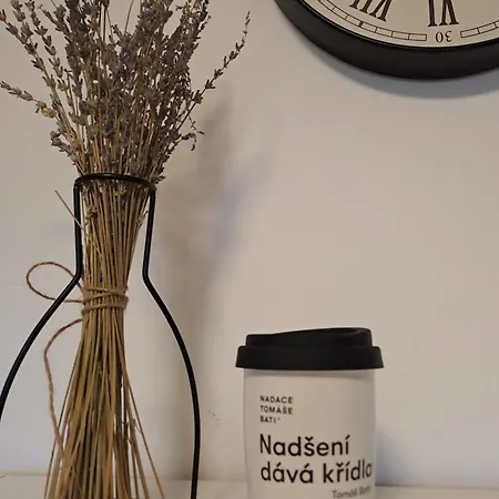 Na Vinohradech Feriehus *