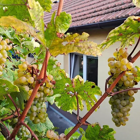Na Vinohradech Feriehus