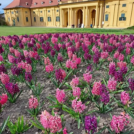 Na Vinohradech Casa vacanze