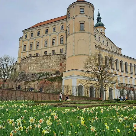Na Vinohradech Feriehus *