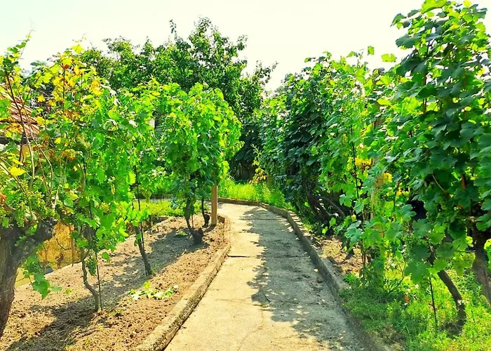 Na Vinohradech Hlohovec