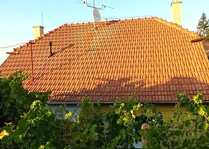 Na Vinohradech *