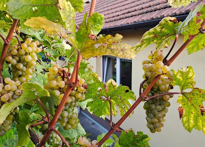 Na Vinohradech Holiday home