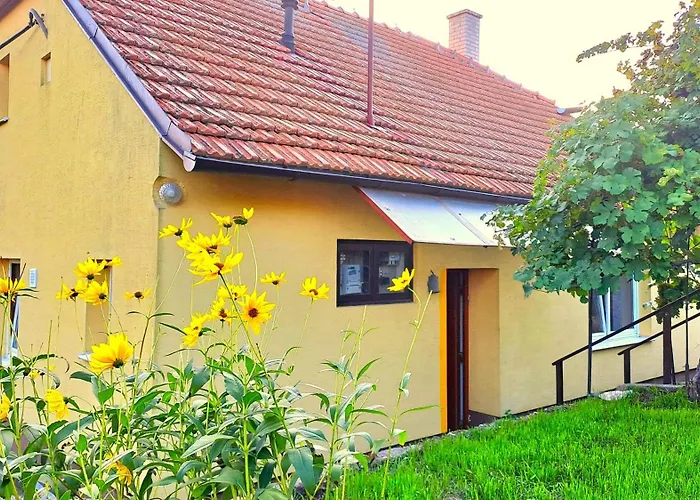 Na Vinohradech *